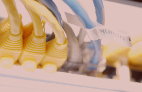 wp1a9b7298_0f.jpg