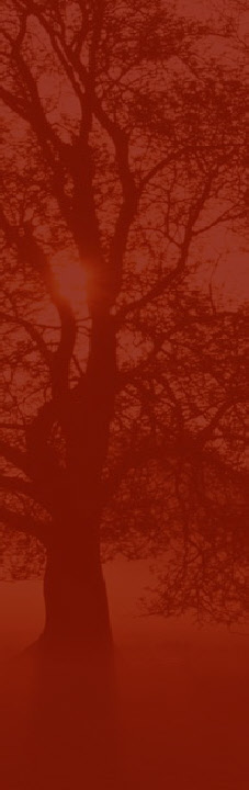 wp2727d0c9_0f.jpg